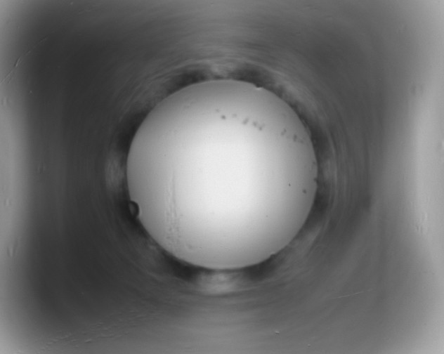 X0000103250129200809181612