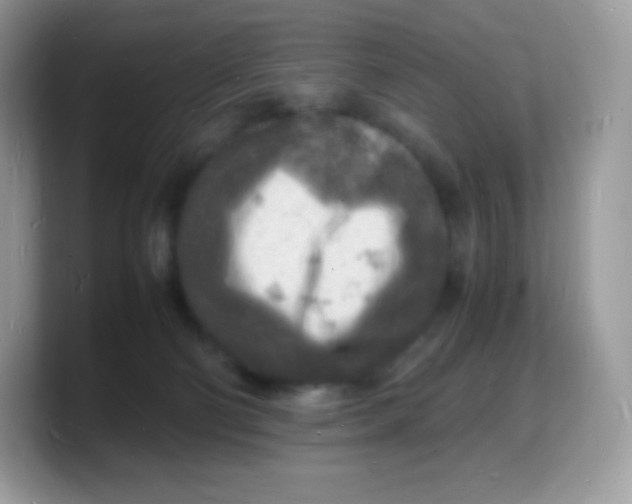X0000103250130200809181612