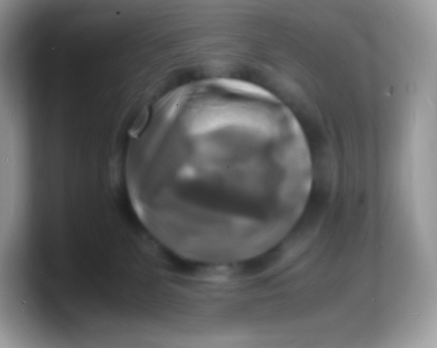 X0000103250131200809181612