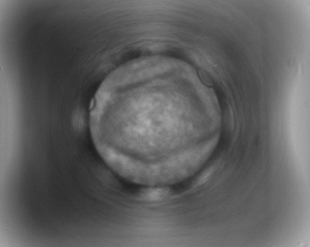 X0000103250135200809181612