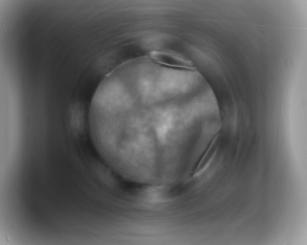 X0000103250136200809181612