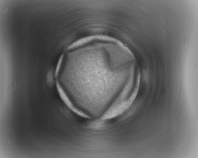 X0000103250138200809181612