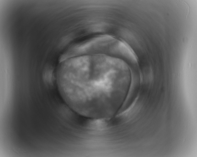 X0000103250140200809181612