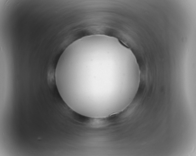 X0000103250141200809181612