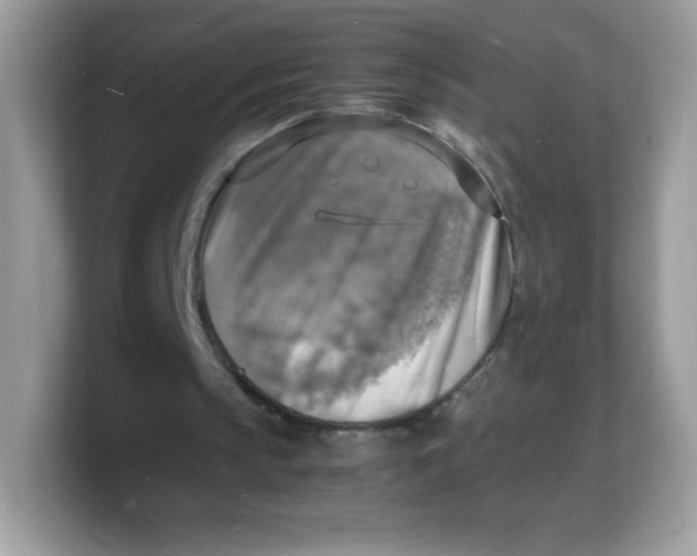 X0000103250145200809181612