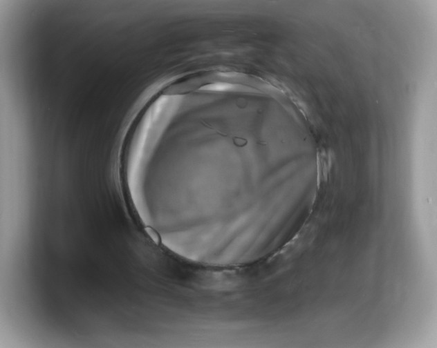 X0000103250147200809181612