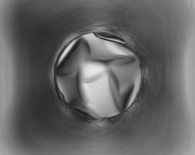 X0000103250148200809181612