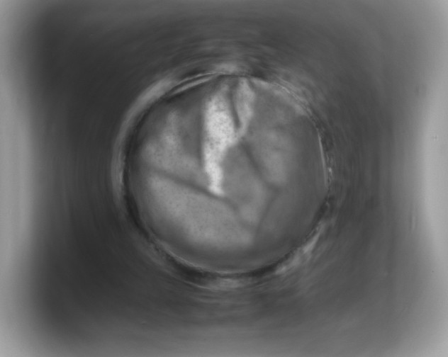 X0000103250149200809181612