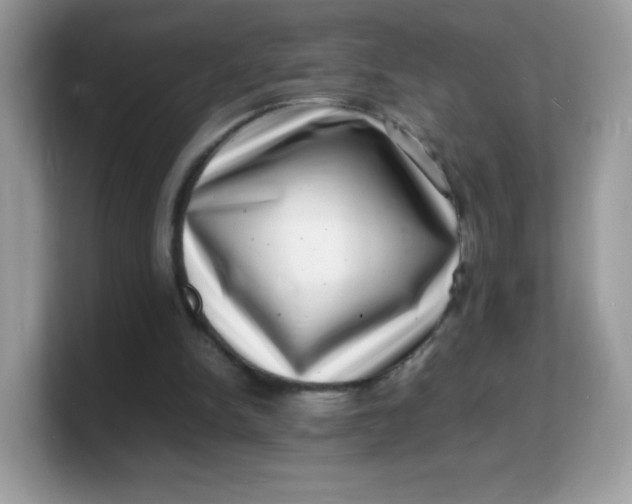 X0000103250150200809181612
