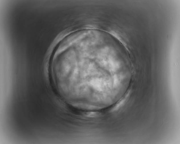 X0000103250151200809181612