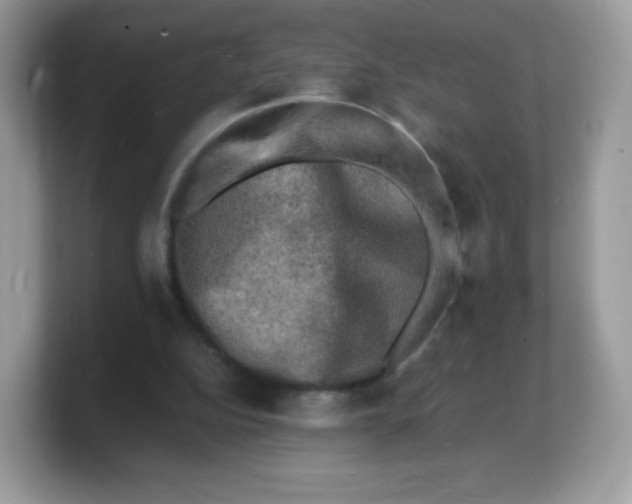 X0000103250152200809181612