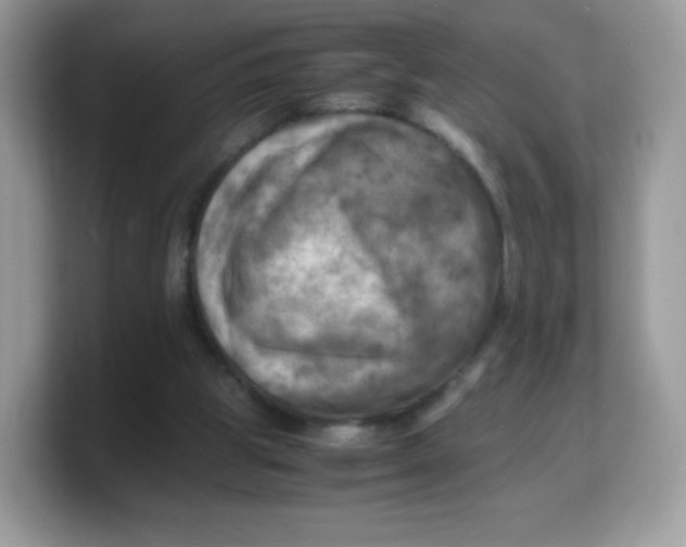 X0000103250153200809181612