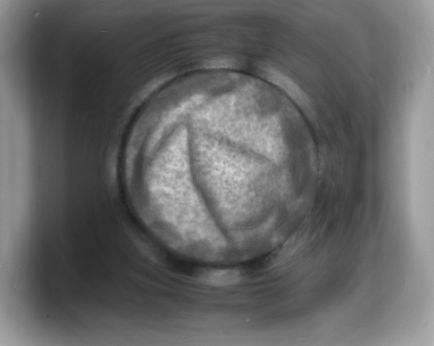 X0000103250155200809181612