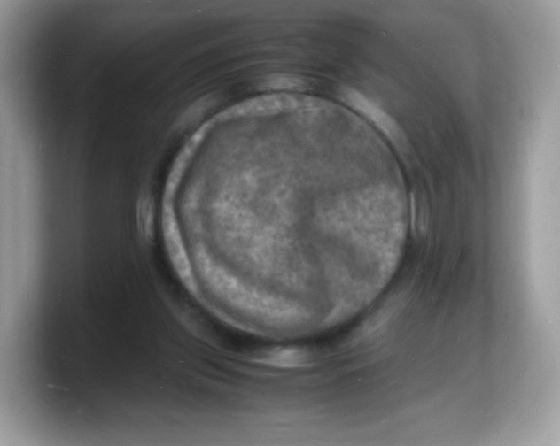 X0000103250157200809181612