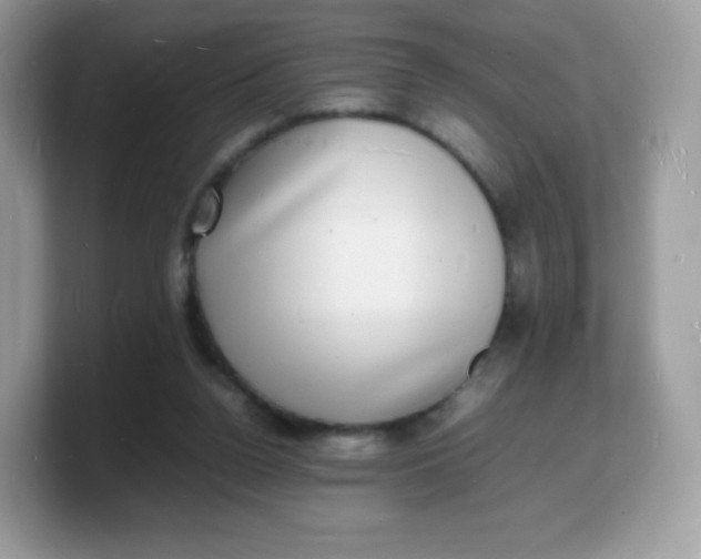 X0000103250160200809181612
