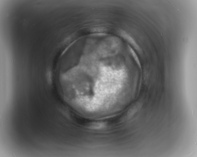X0000103250161200809181612