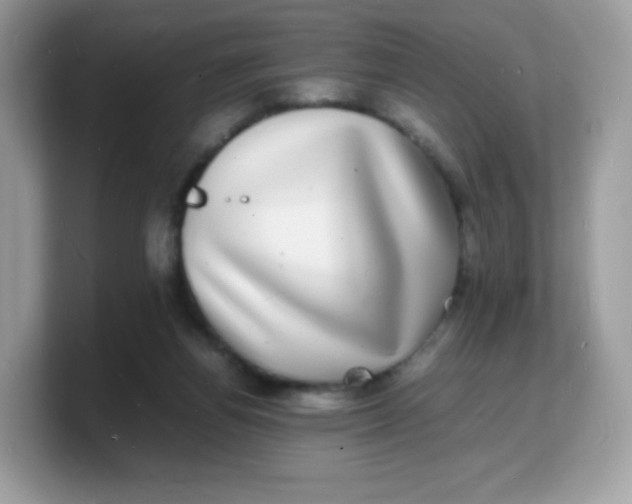 X0000103250164200809181612