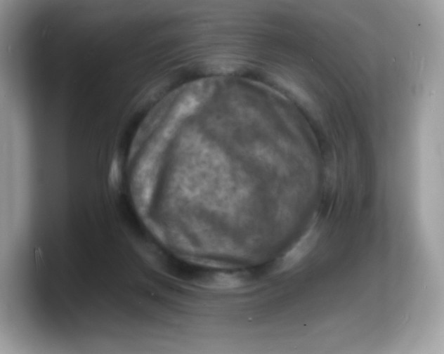 X0000103250166200809181612