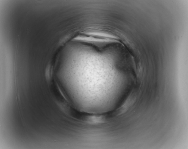 X0000103250168200809181612