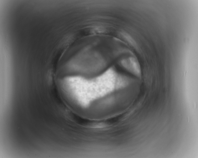 X0000103250169200809181612