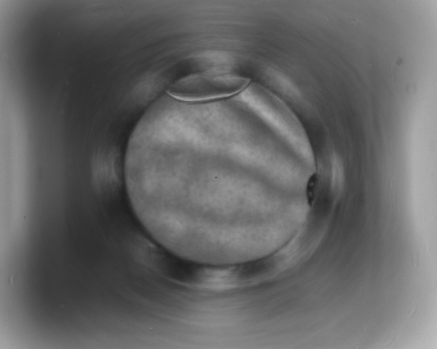 X0000103250170200809181612
