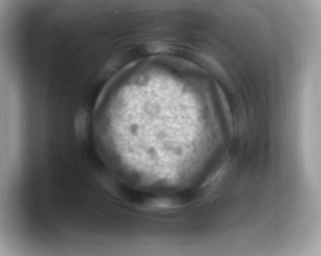 X0000103250171200809181612