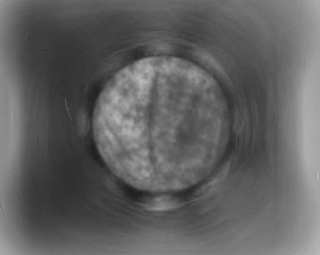 X0000103250173200809181612