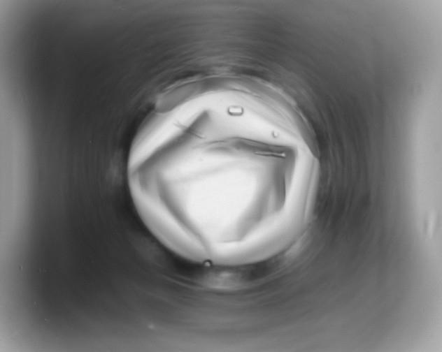 X0000103250174200809181612