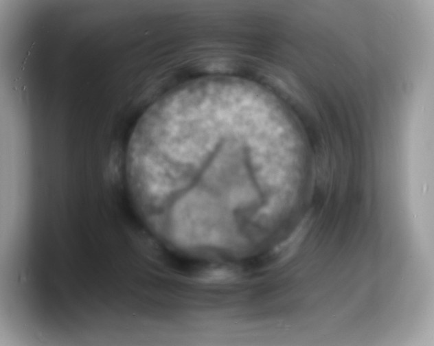 X0000103250175200809181612