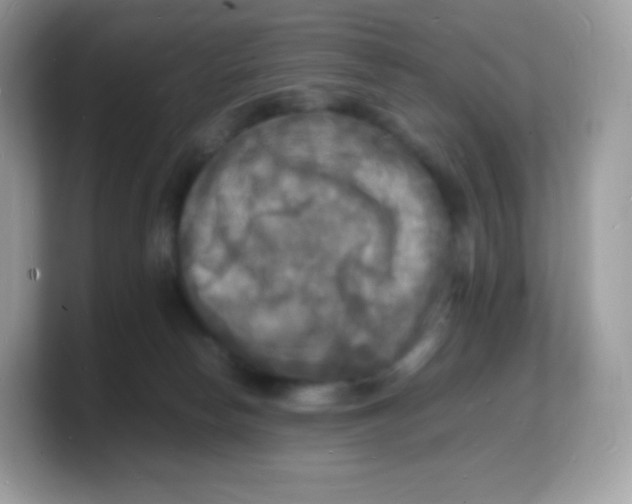 X0000103250178200809181612