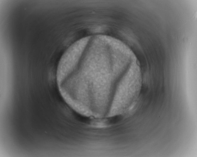 X0000103250179200809181612