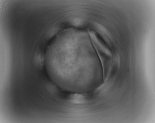 X0000103250180200809181612