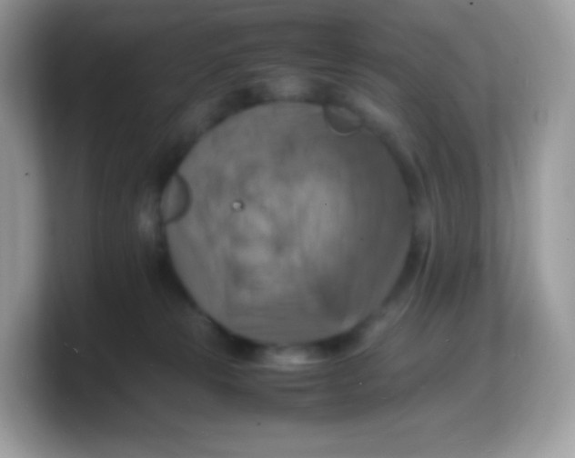 X0000103250181200809181612