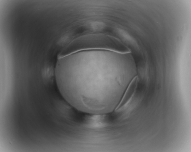 X0000103250184200809181612