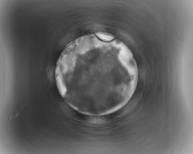 X0000103250185200809181612