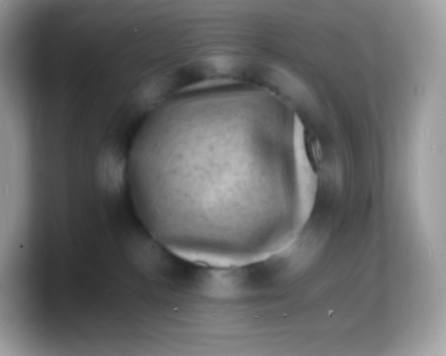 X0000103250188200809181612