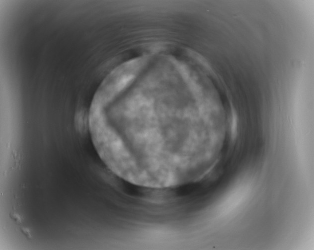 X0000103250191200809181612