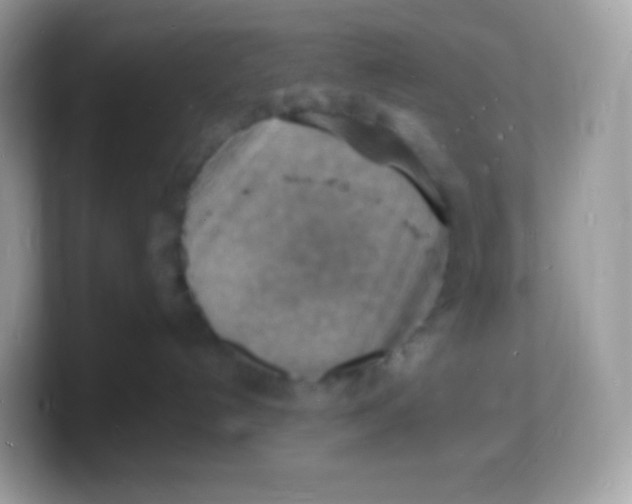 X0000103250192200809181612