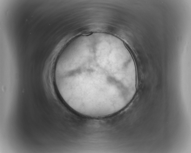 X0000103250193200809181612