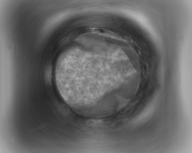 X0000103250194200809181612