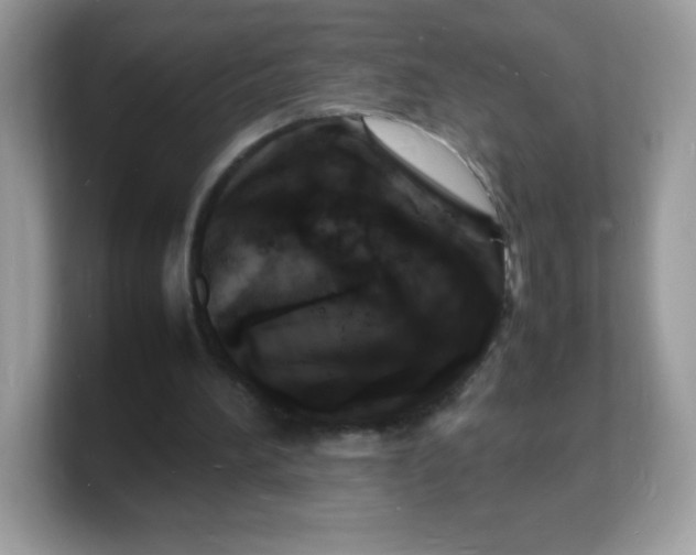 X0000103250196200809181611