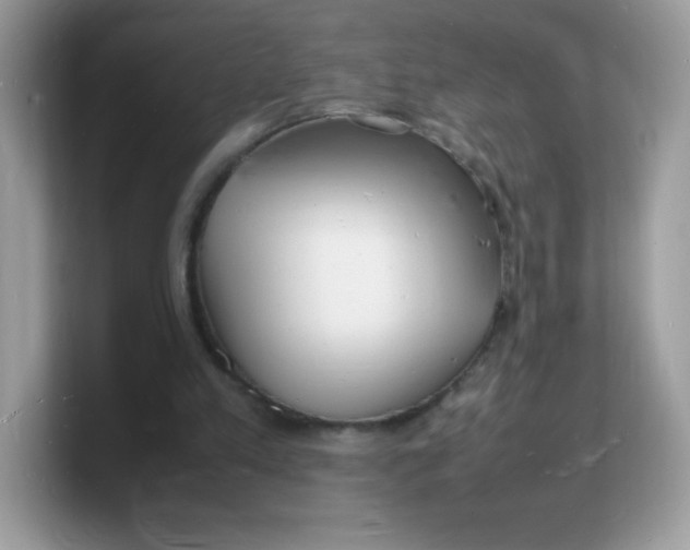 X0000103250197200809181611