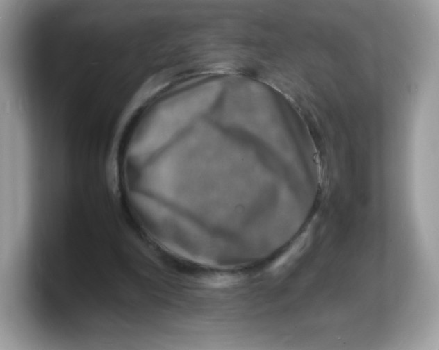 X0000103250198200809181611