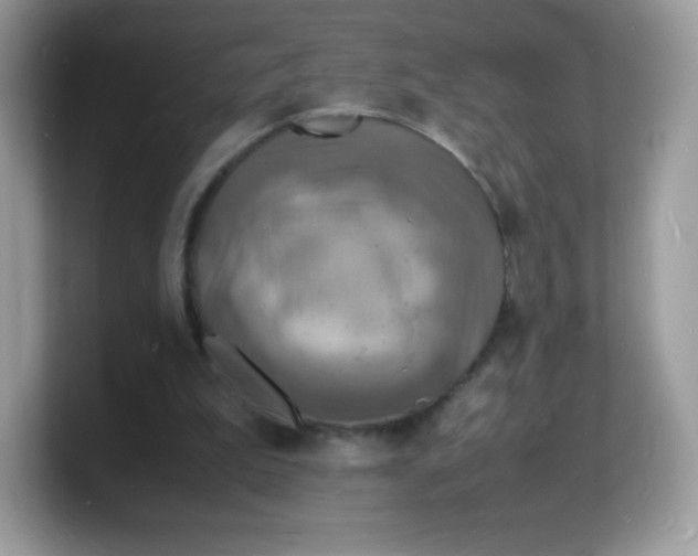 X0000103250199200809181611