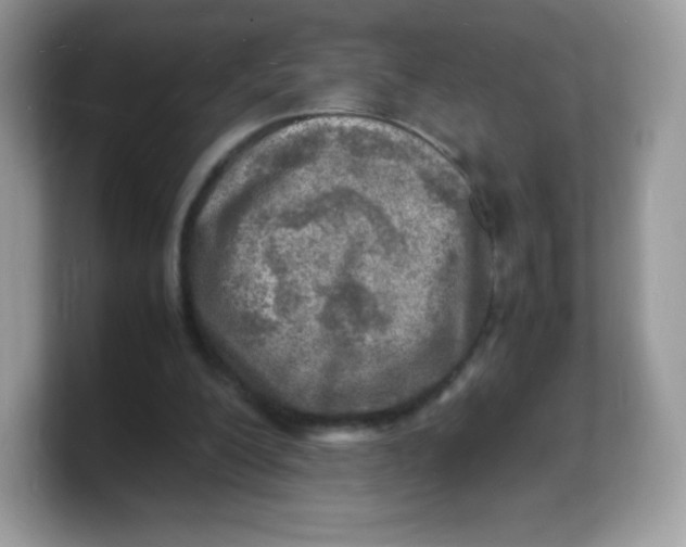 X0000103250200200809181611