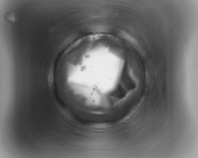 X0000103250202200809181611