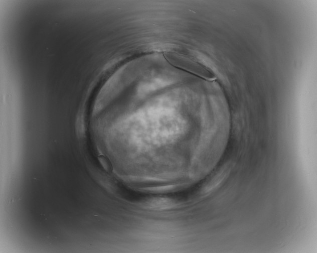 X0000103250203200809181611