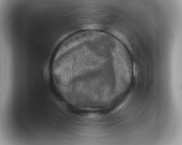 X0000103250204200809181611