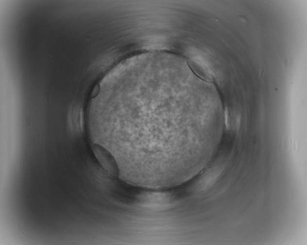 X0000103250205200809181611