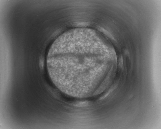 X0000103250206200809181611